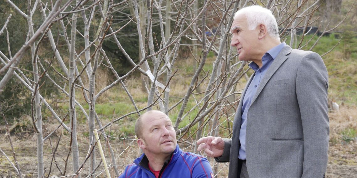 381e8041 F923 1909 79b3 3f725863462b 87411